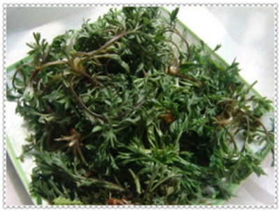 中医药科研专项工作会召开