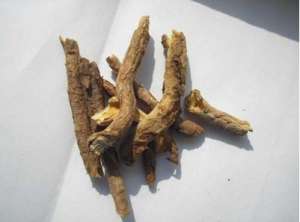 哪些药膳有美容功效呢