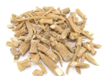 后继乏人是中医最大危机