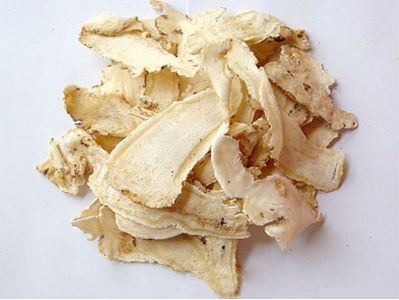 大蝎子草的功效与作用
