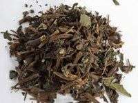 白领益吃的九种食物