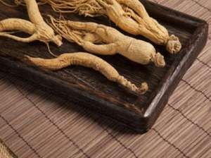 高档野菜土人参栽培技术