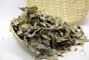 刺玫的功效与作用