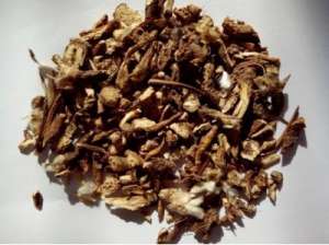 葛细菌性叶斑病